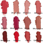 12 Colors Long Lasting Waterproof Lips Gloss Lipstick